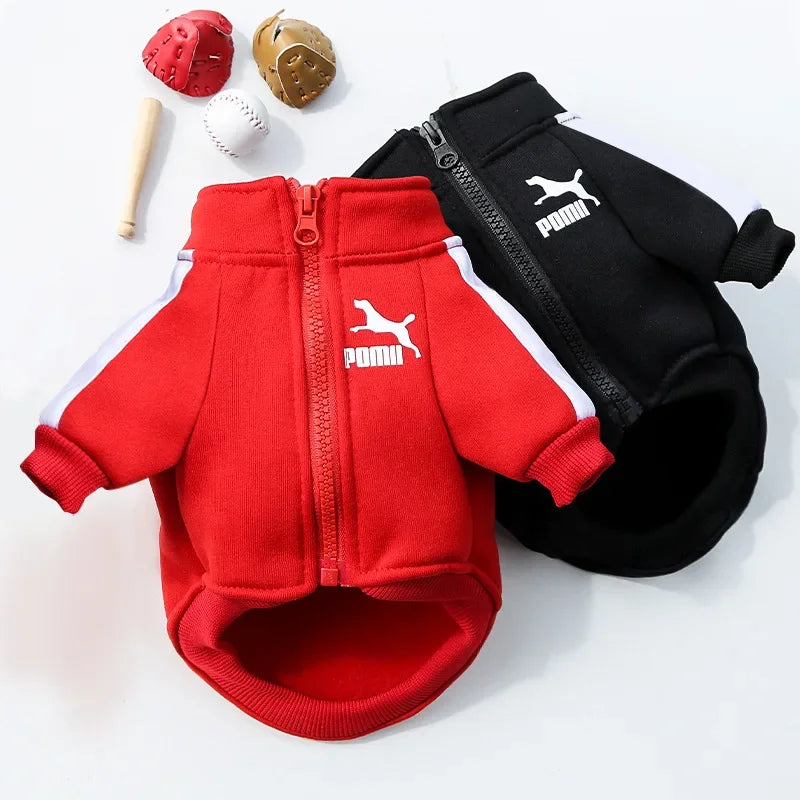Dog Baseball Jacket for Fall and Winter
