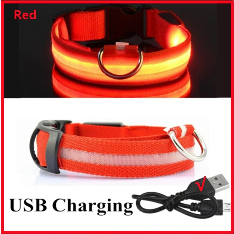 LED Dog Collar with 3 Light Modes, USB or Battery Powered