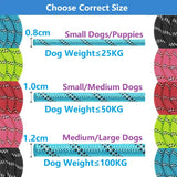 Reflective Rope Dog Leash with Padded Handle, 4 to 10 ft