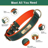 Personalized Padded Leather Dog Collar with Engraved Nameplate