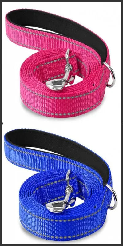Reflective Nylon Dog Leash with Padded Handle, 4, 5 or 6 ft