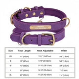Personalized Leather Dog Collar with Engraved Nameplate ID Tag