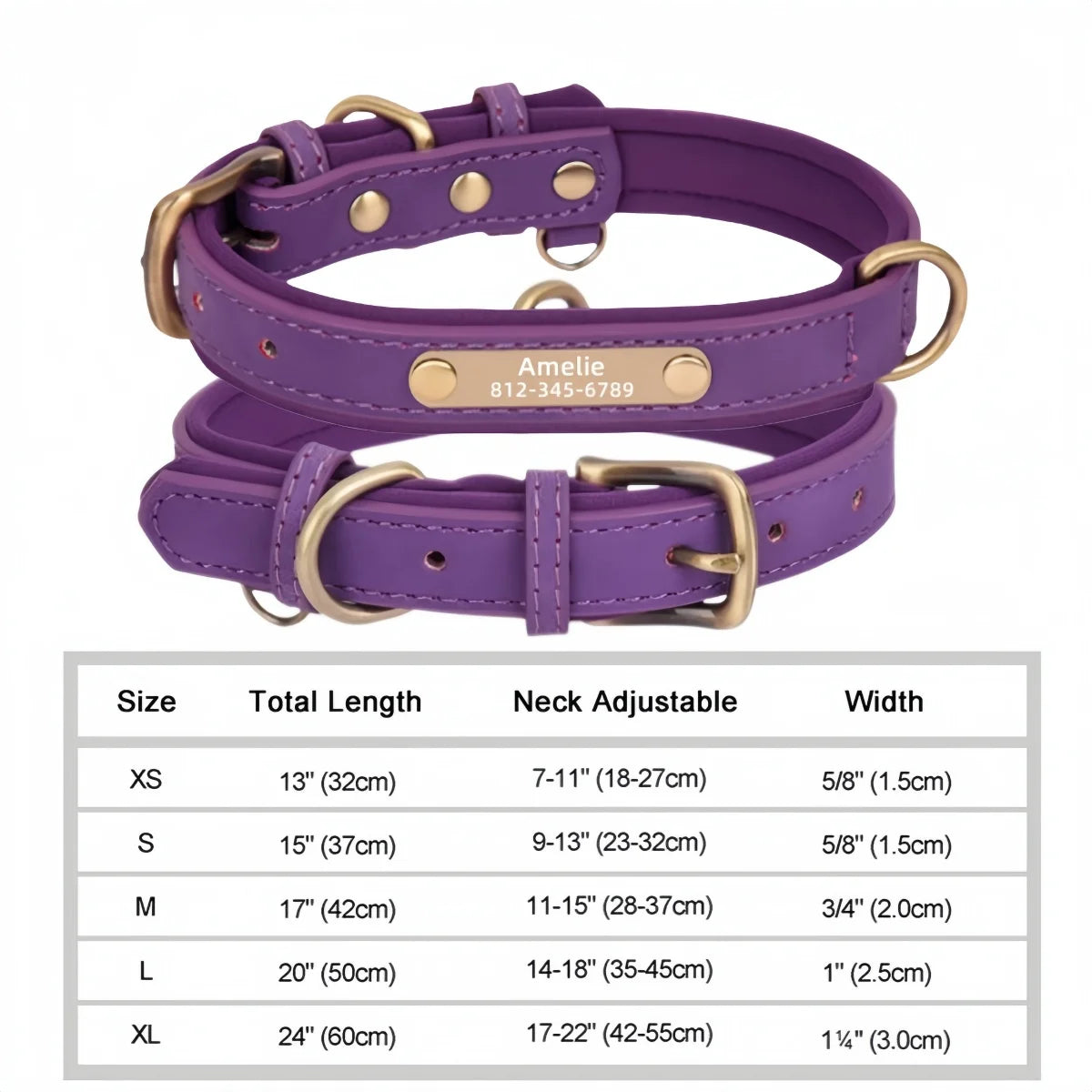 Personalized Leather Dog Collar with Engraved Nameplate ID Tag