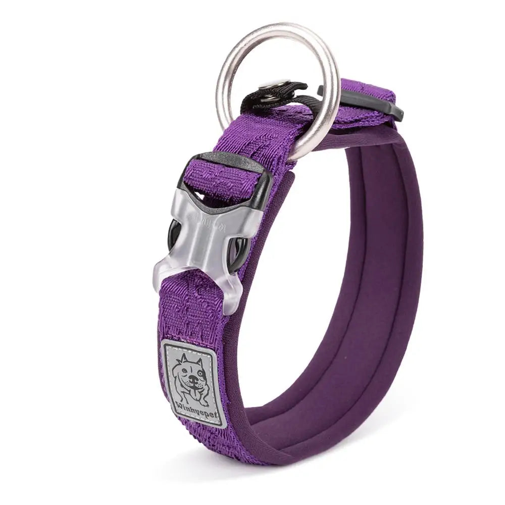 Adjustable Padded Dog Collar with Quick Release Buckle, XXS to 3XL