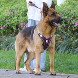 Padded Reflective Dog Harness Vest with Quick-Release Buckles