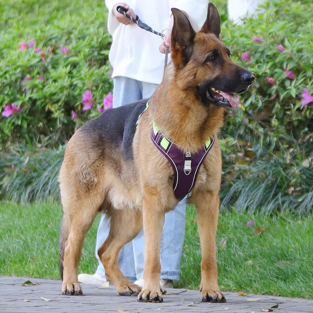 Padded Reflective Dog Harness Vest with Quick-Release Buckles