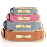Personalized Leather Dog Collar with Engraved Nameplate, Pin Buckle