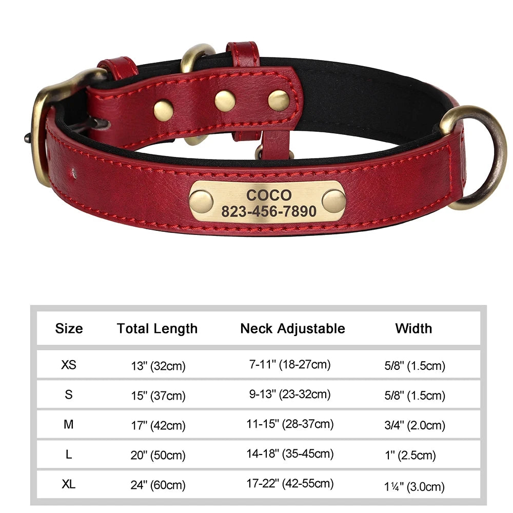 Personalized Leather Dog Collar with Engraved Nameplate ID Tag