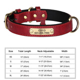 Personalized Leather Dog Collar with Engraved Nameplate ID Tag