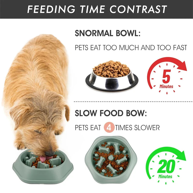 Slow Feeder Dog Bowl with Anti-Slip Base for Fast Eaters
