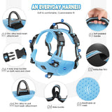 No Pull Dog Harness and Leash Set with Front and Back Clips