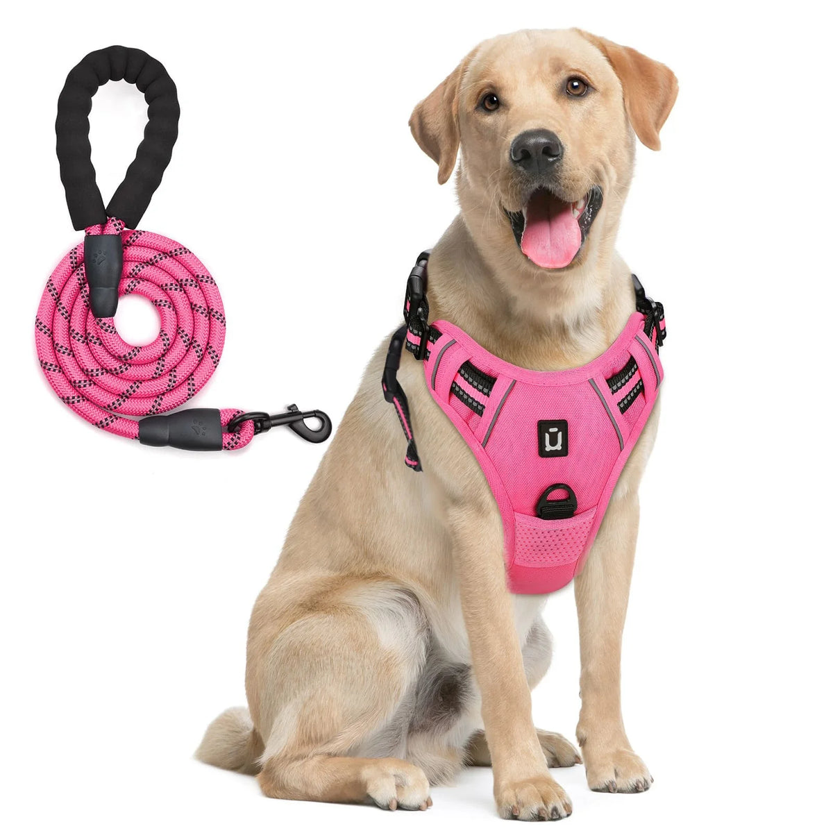 No Pull Dog Harness and Leash Set with Front and Back Clips