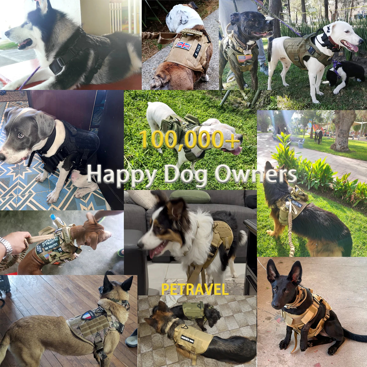 Tactical Dog Harness and Collar Set for Medium & Large Dogs