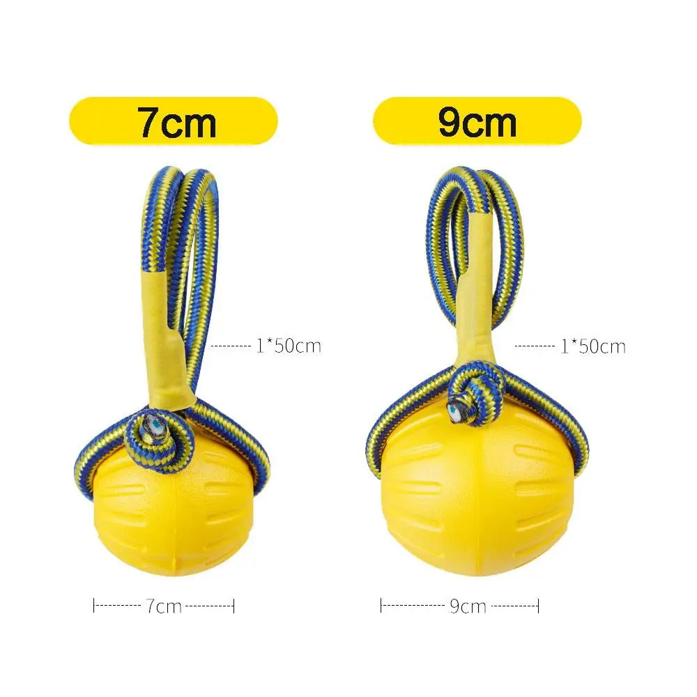 Floating Dog Ball on a Rope for Fetch and Tug