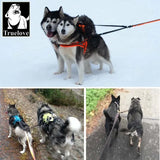 Double Dog Leash Coupler for Two Dogs, Reflective Nylon