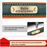 Personalized Leather Dog Collar with Engraved Nameplate ID Tag