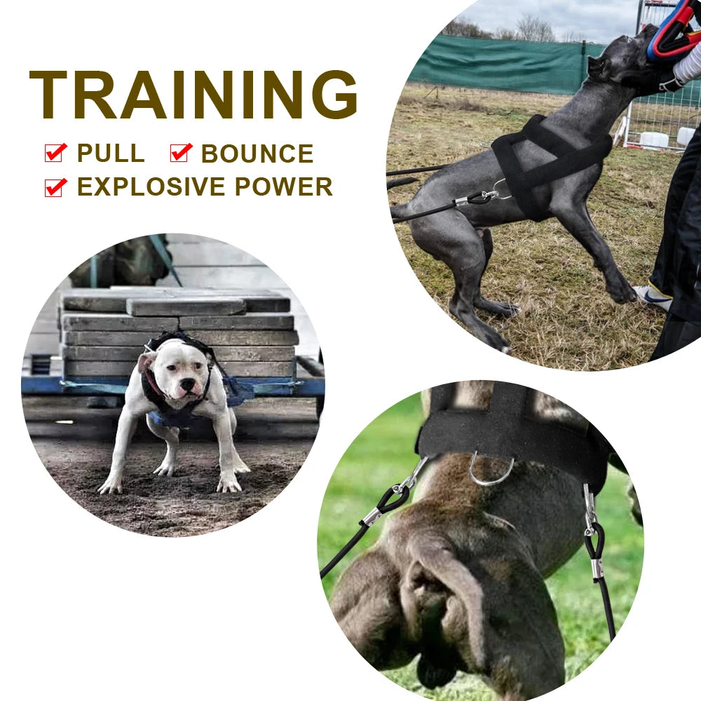 Dog Weight Pulling Harness with Dual 4 ft Pull Lines, Padded