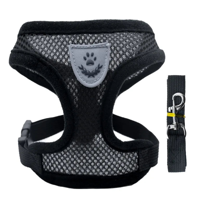 Mesh Dog Harness and Leash Set for Puppies and Small Dogs