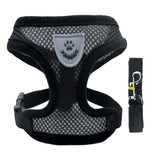 Mesh Dog Harness and Leash Set for Puppies and Small Dogs