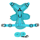 Reflective Dog Harness and Leash Set for Small Dogs