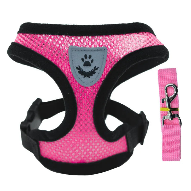 Mesh Dog Harness and Leash Set for Puppies and Small Dogs