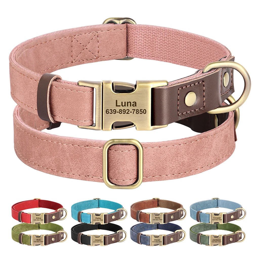 Custom Engraved Buckle Dog Collar with Name and Phone Number