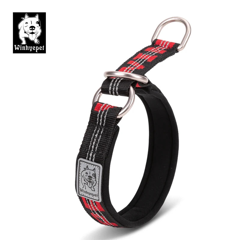 Martingale Dog Collar with Neoprene Padding and Reflective Stitching