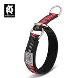 Martingale Dog Collar with Neoprene Padding and Reflective Stitching