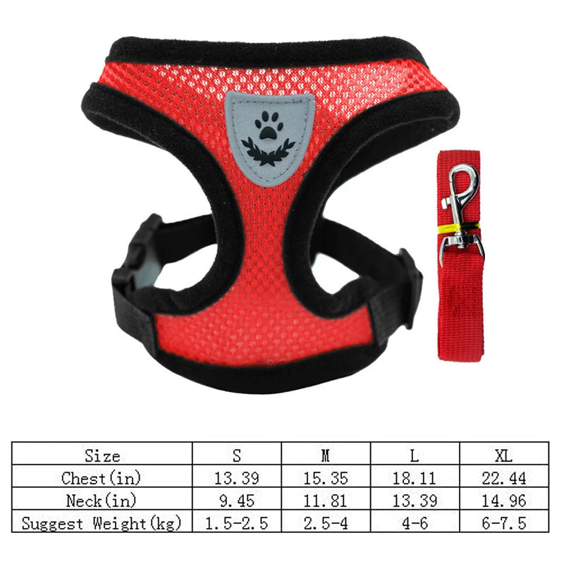 Mesh Dog Harness and Leash Set for Puppies and Small Dogs