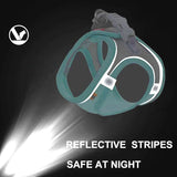 Small Dog Vest Harness and Leash Set, Reflective and Breathable