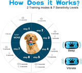 Rechargeable Dog Bark Collar with Beep and Vibration Modes