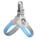 Y-Shaped Dog Harness, Reflective and Padded, Sizes S-XL