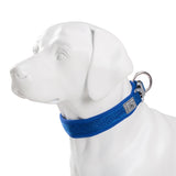Adjustable Padded Dog Collar with Quick Release Buckle, XXS to 3XL