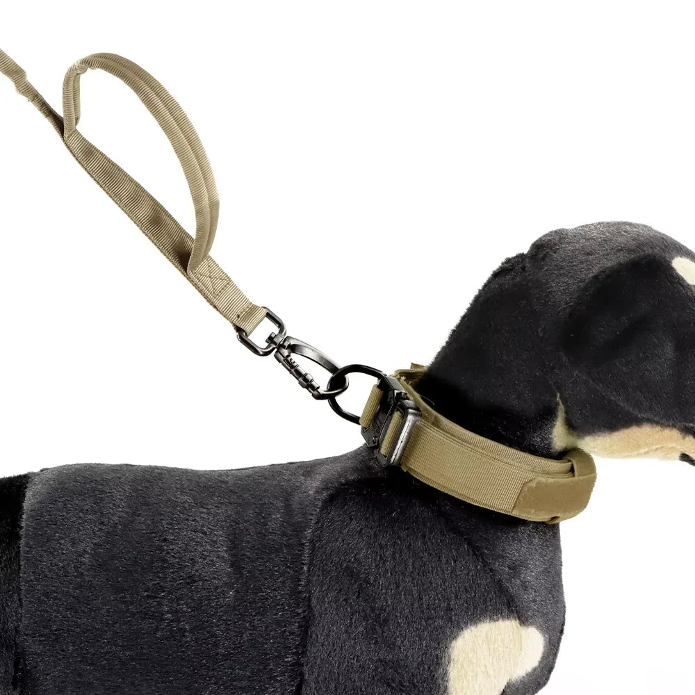 Two Handle Tactical Dog Leash with Shock Absorbing Bungee