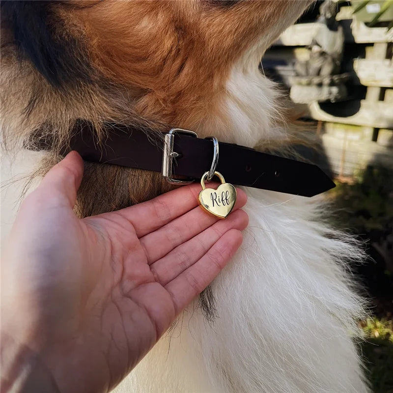 Personalized Dog ID Tag, Double-Sided Engraved Stainless Steel