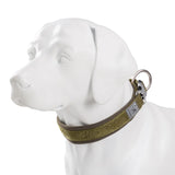 Adjustable Padded Dog Collar with Quick Release Buckle, XXS to 3XL