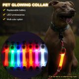 Waterproof LED Dog Collar Light for Night Walk Visibility