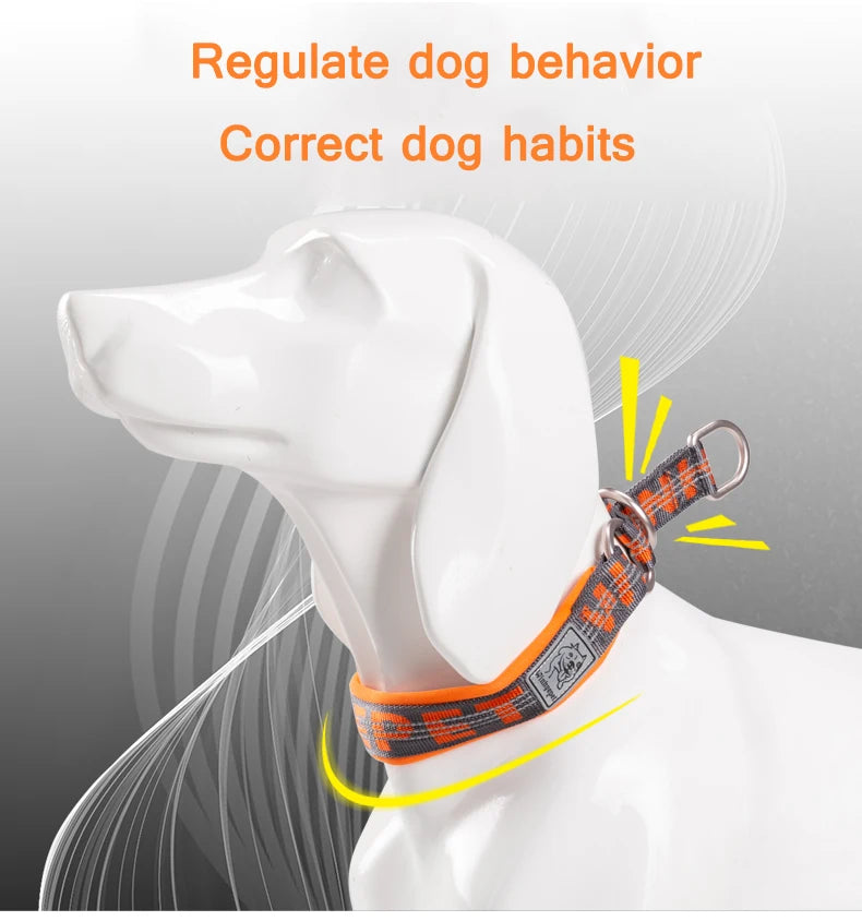 Martingale Dog Collar with Neoprene Padding and Reflective Stitching