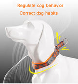 Martingale Dog Collar with Neoprene Padding and Reflective Stitching