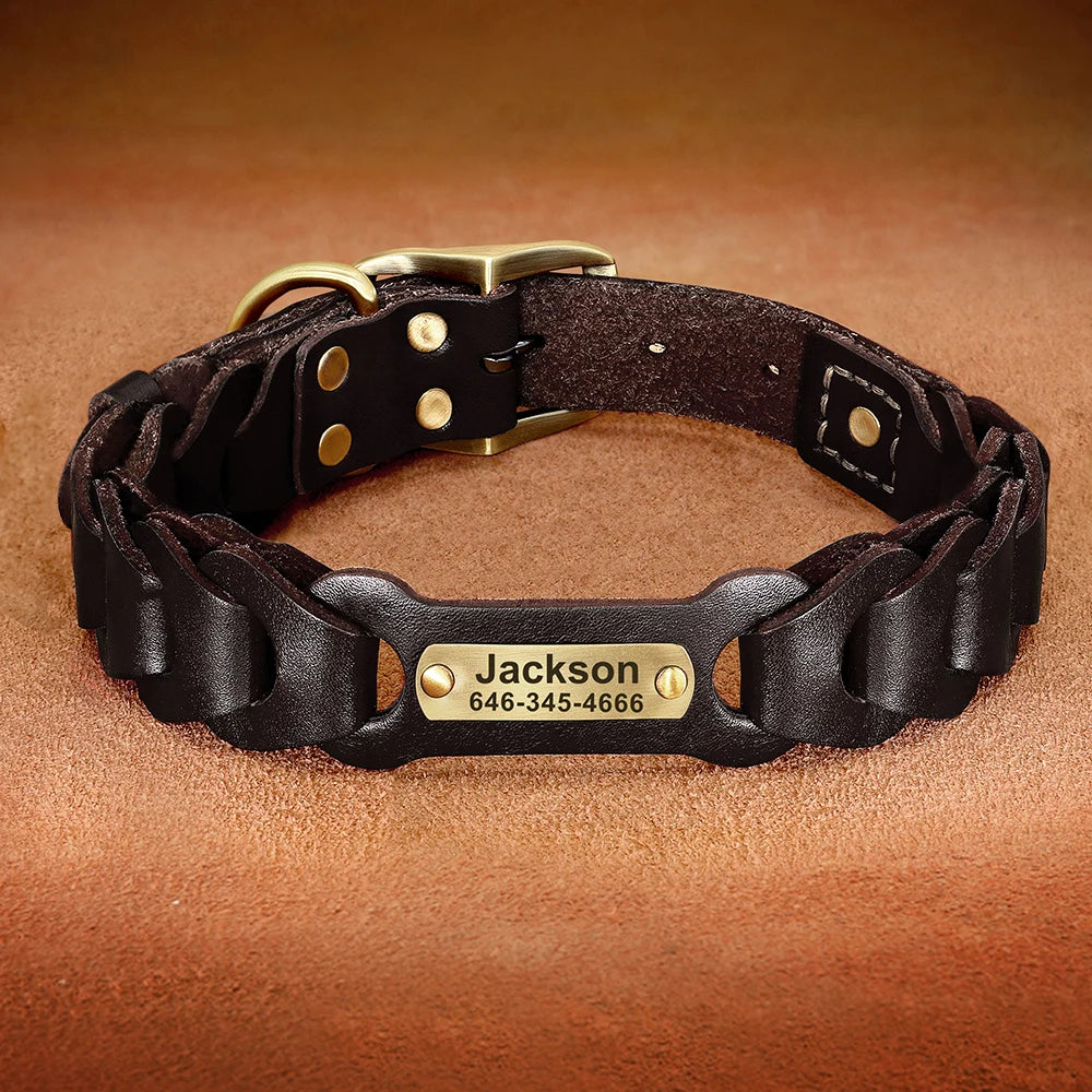 Genuine Leather Personalized Dog Collar for Pitbulls and Large Dogs