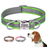 Personalized Reflective Dog Collar with Engraved Name Plate