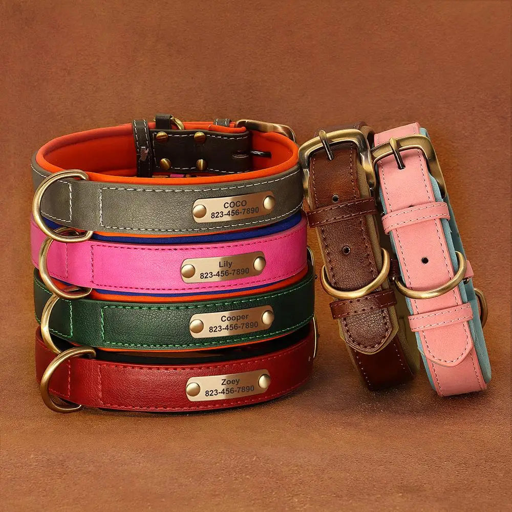 Personalized Leather Dog Collar with Engraved Nameplate, Pin Buckle