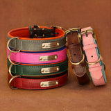 Personalized Leather Dog Collar with Engraved Nameplate, Pin Buckle