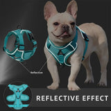 Reflective Dog Harness and Leash Set for Small Dogs