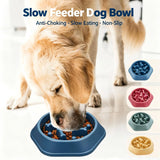 Slow Feeder Dog Bowl with Anti-Slip Base for Fast Eaters