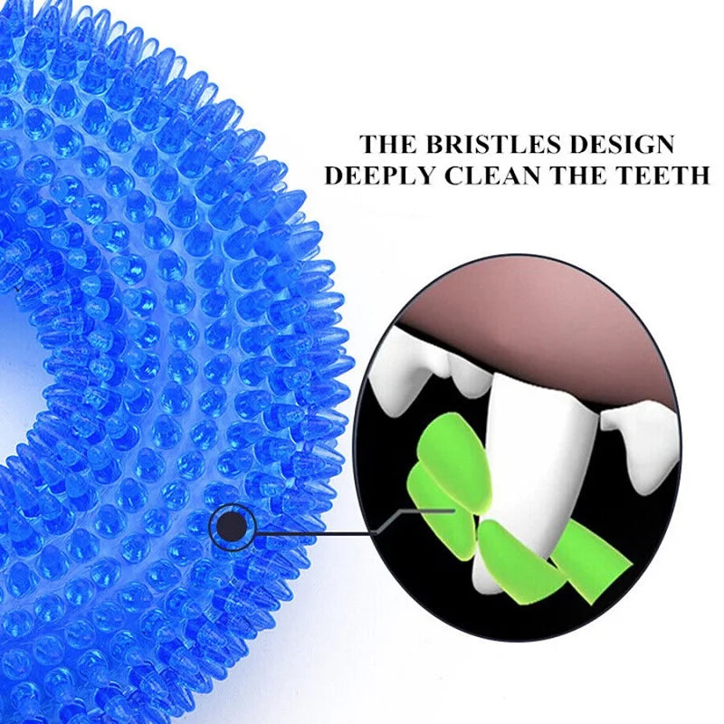 Squeaky Spiky Ring Chew Toy for Dogs and Puppies