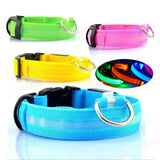LED Dog Collar with 3 Light Modes, USB or Battery Powered