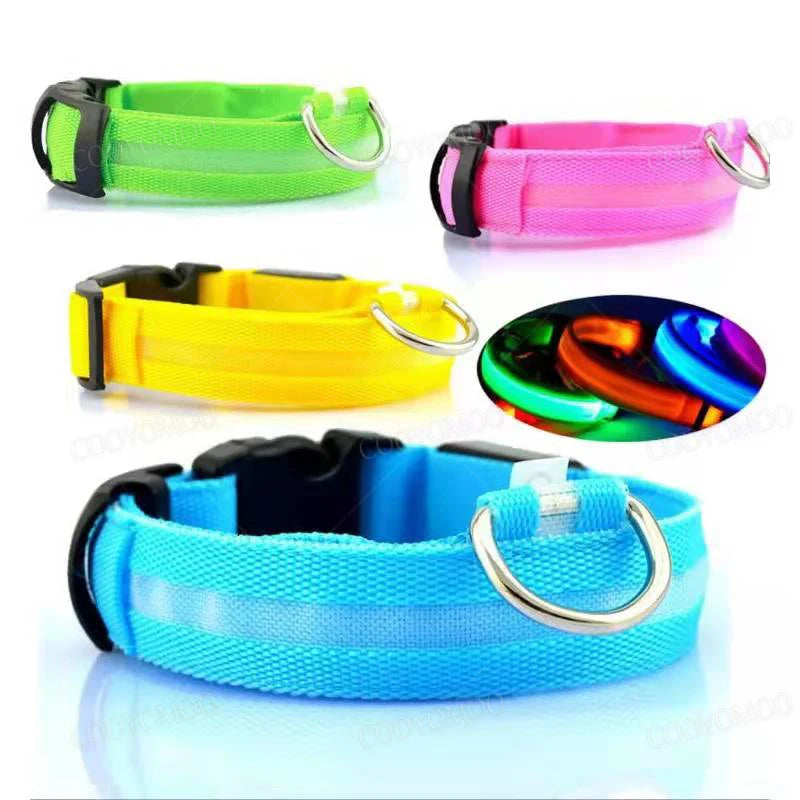 LED Dog Collar with 3 Light Modes, USB or Battery Powered