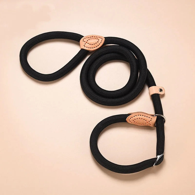 Braided Rope Slip Lead for Small and Medium Dogs