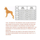 Breathable Mesh Dog Harness for Small and Medium Dogs